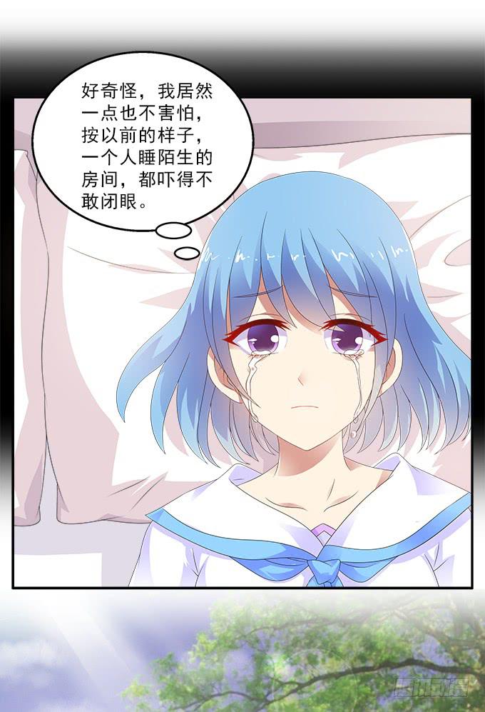兔子，晚安8