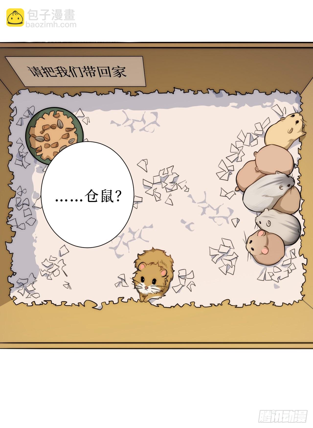 2.我叫肖秘书，是一只仓鼠16
