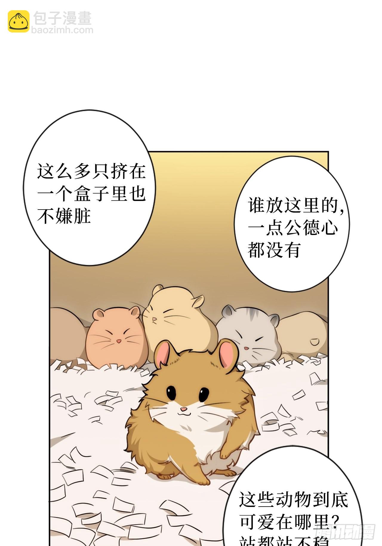 2.我叫肖秘书，是一只仓鼠17