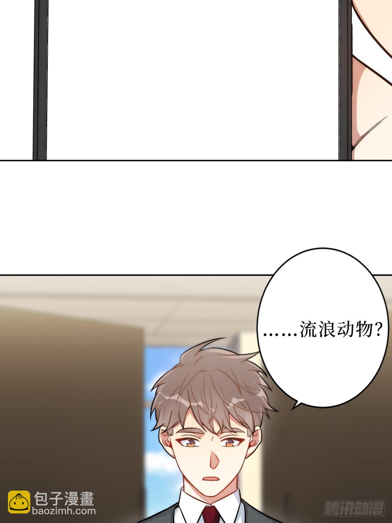2.我叫肖秘书，是一只仓鼠2