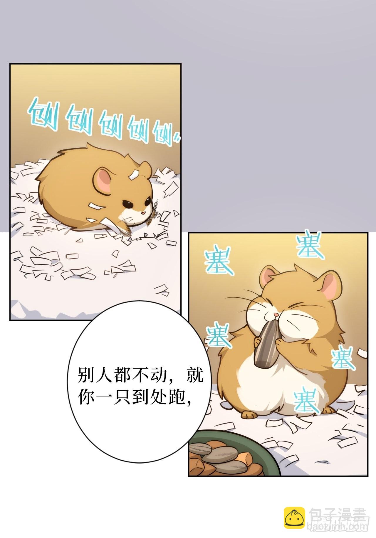 2.我叫肖秘书，是一只仓鼠20