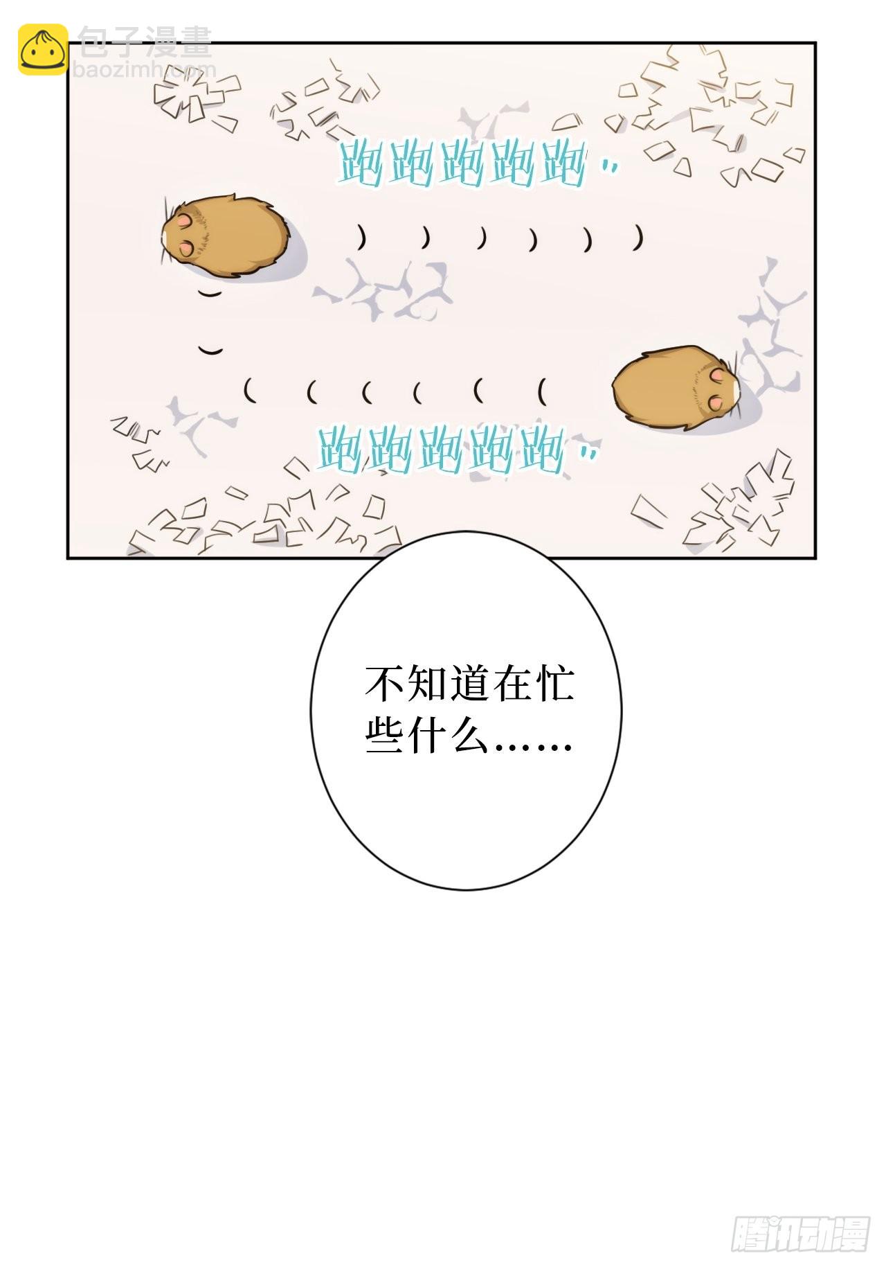 2.我叫肖秘书，是一只仓鼠21