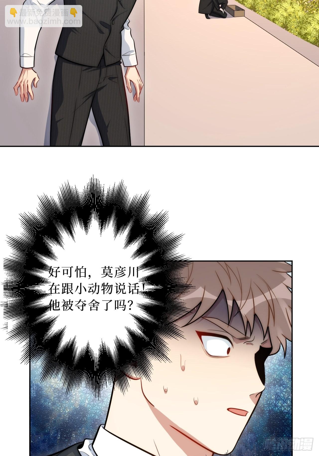 2.我叫肖秘书，是一只仓鼠26