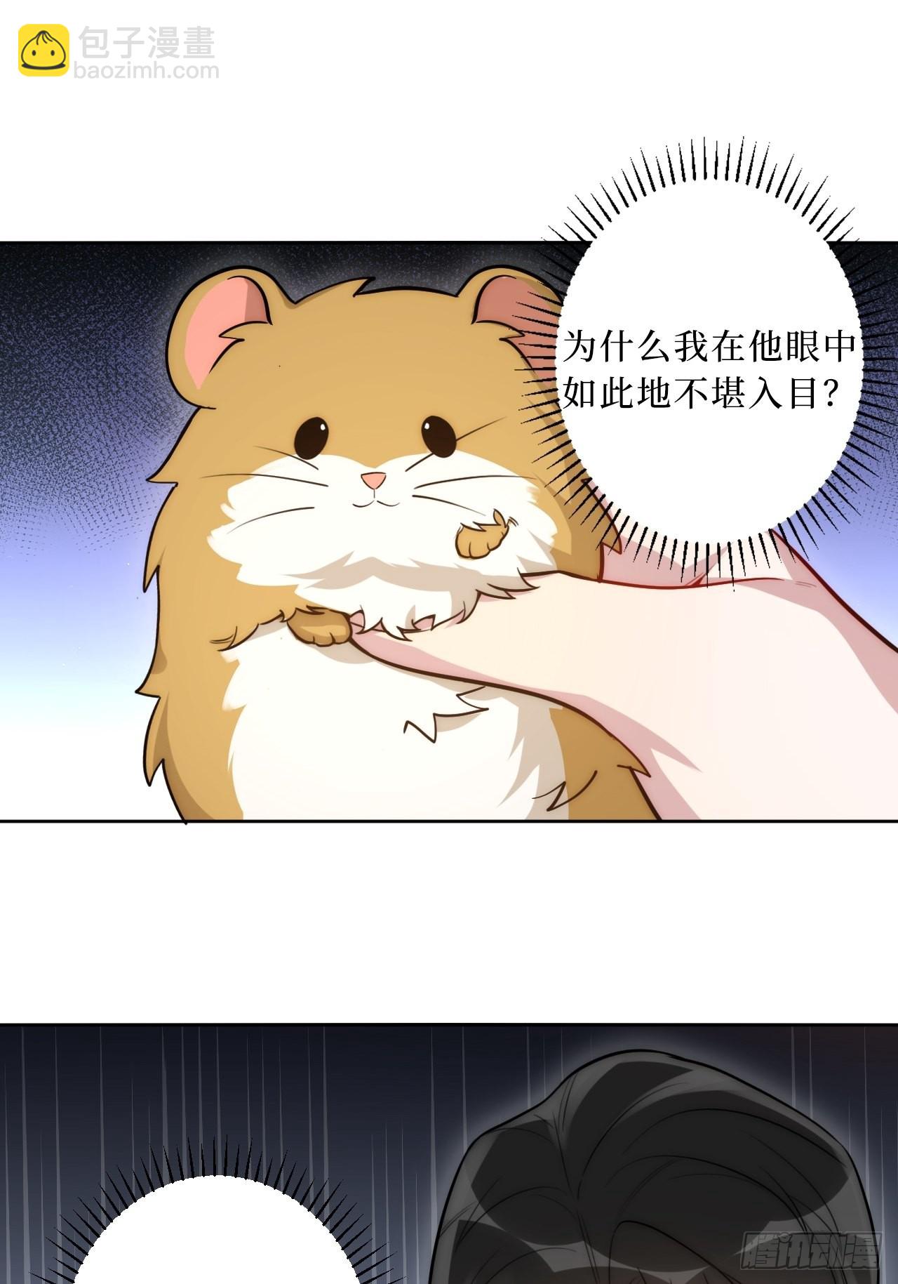 2.我叫肖秘书，是一只仓鼠29