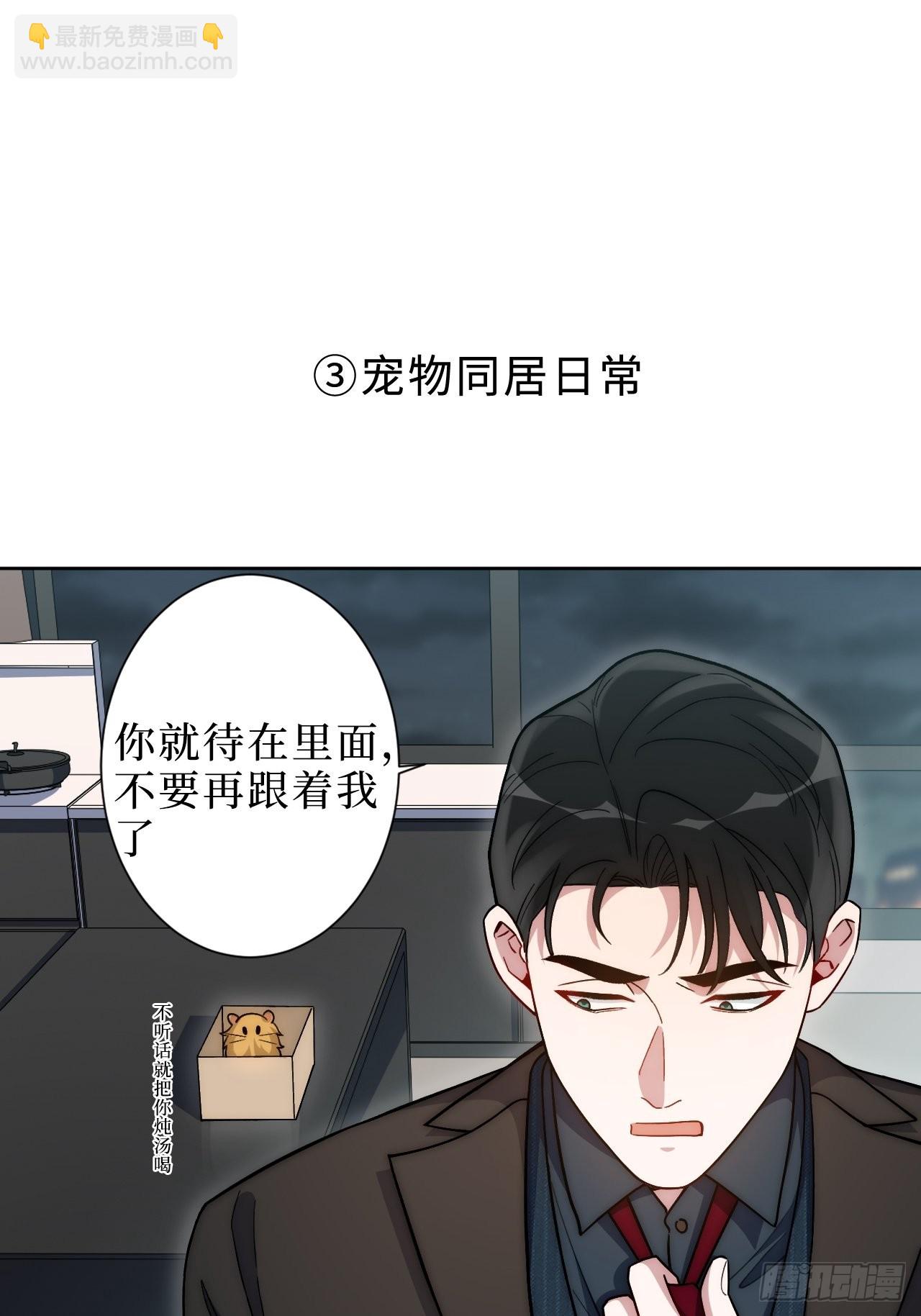 2.我叫肖秘书，是一只仓鼠42