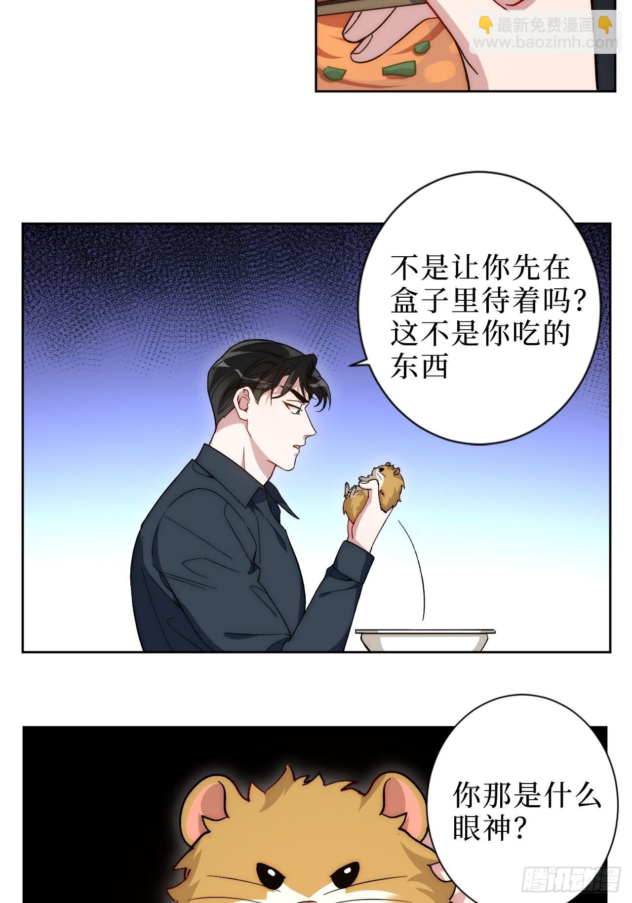 2.我叫肖秘书，是一只仓鼠45