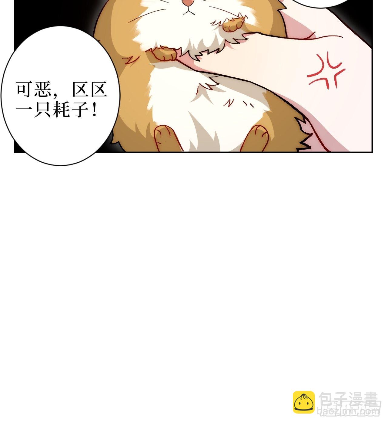 2.我叫肖秘书，是一只仓鼠50