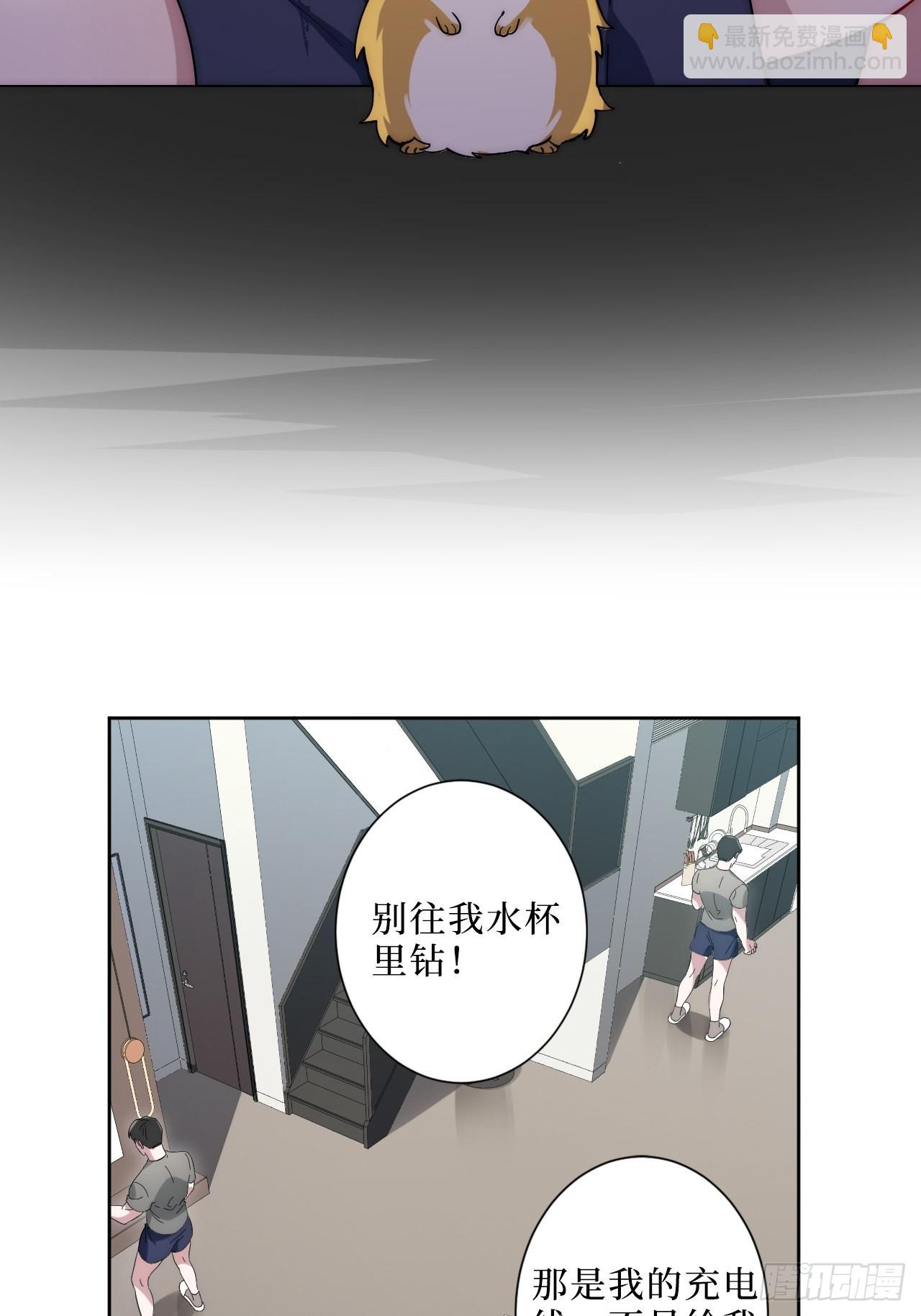 2.我叫肖秘书，是一只仓鼠57