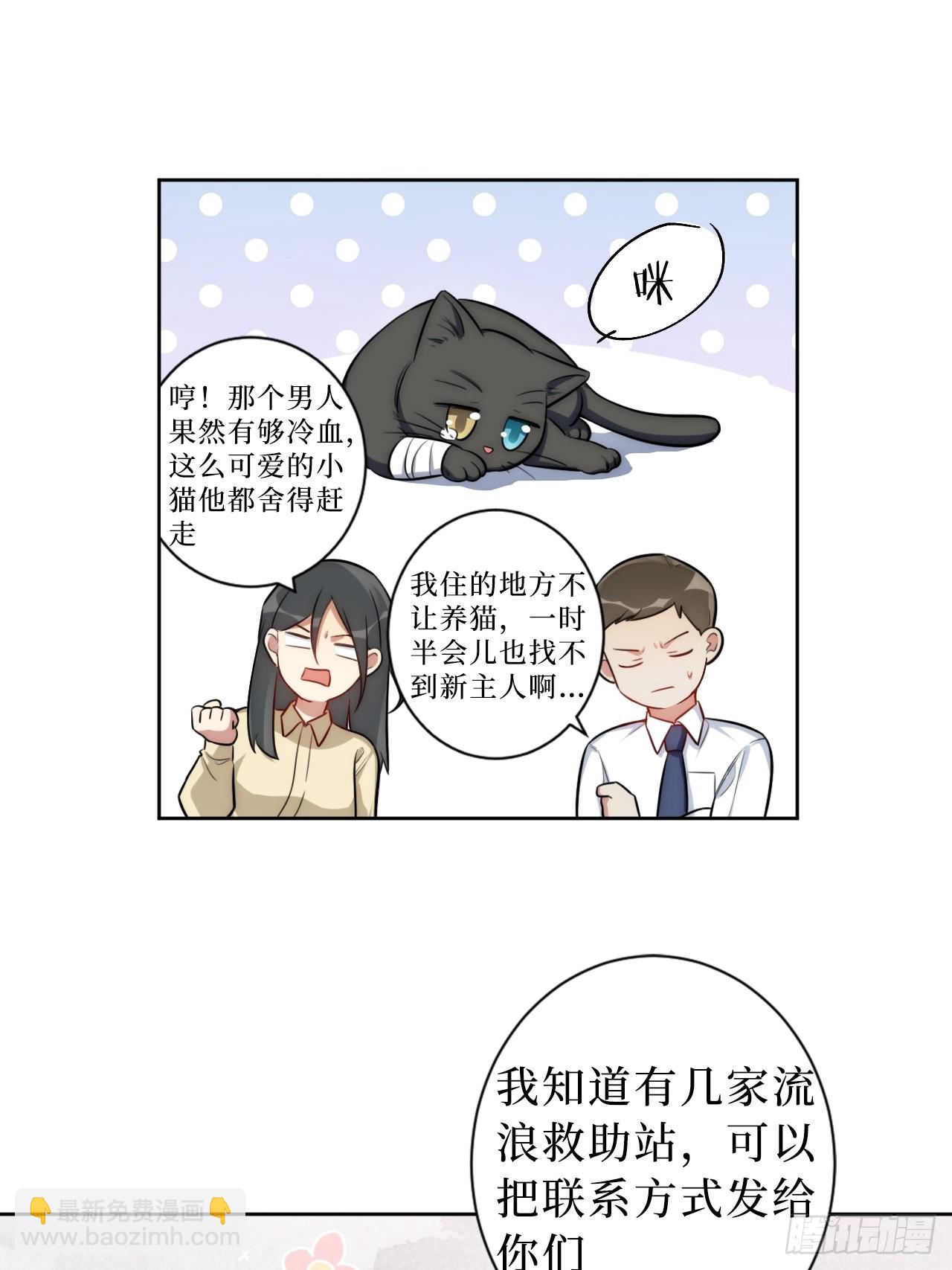 2.我叫肖秘书，是一只仓鼠6