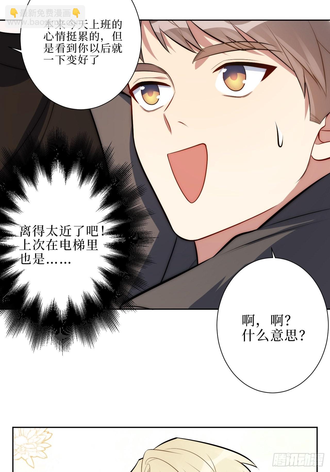 15.完美的借口6