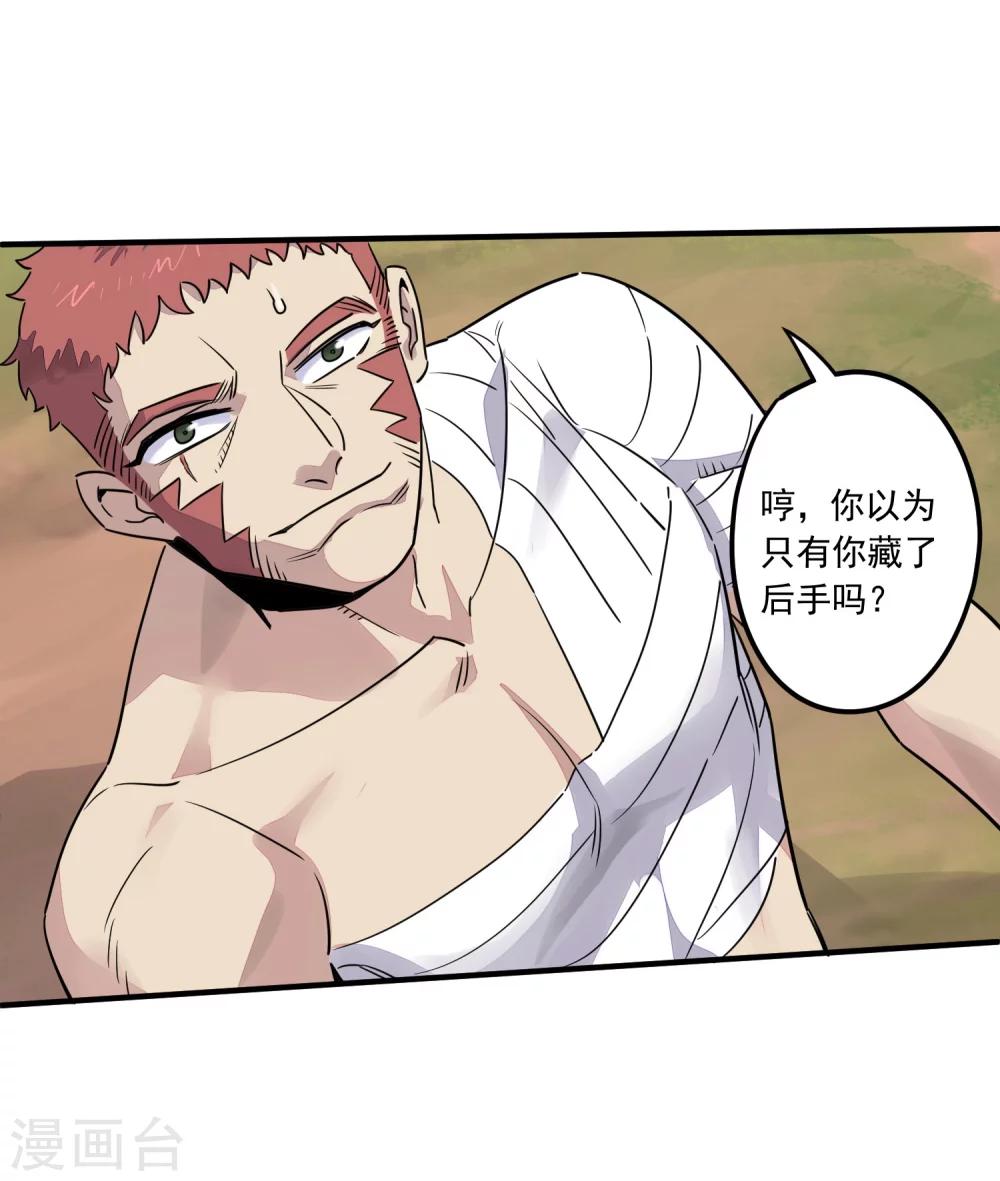 第31话 铠甲化：双子座13