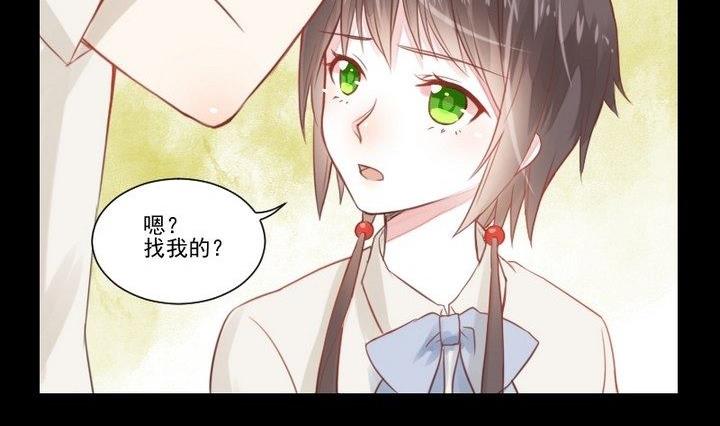 第29话 心疼肉丸！4