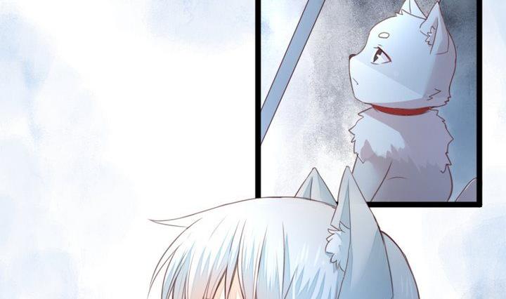 第37话 稀月的计划13