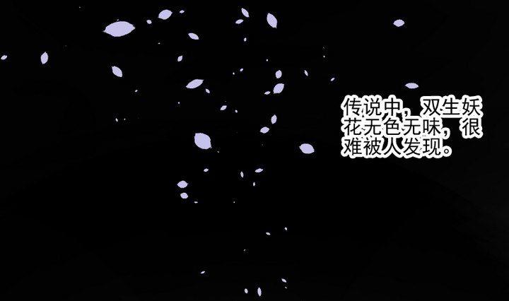 第38话 双生妖花0