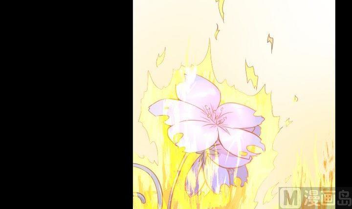 第42话 燃烧的花32