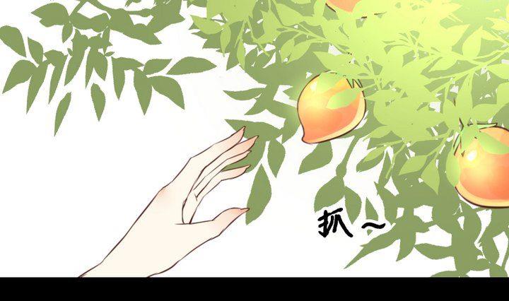 第53话 果实0