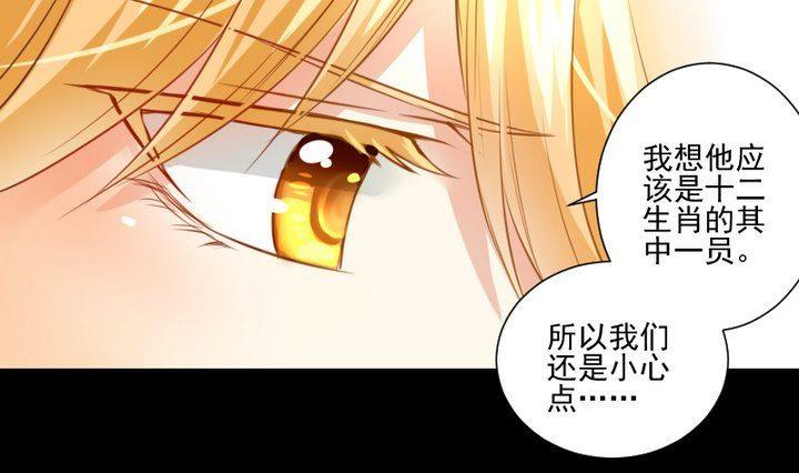 第61话 兔子的初恋6