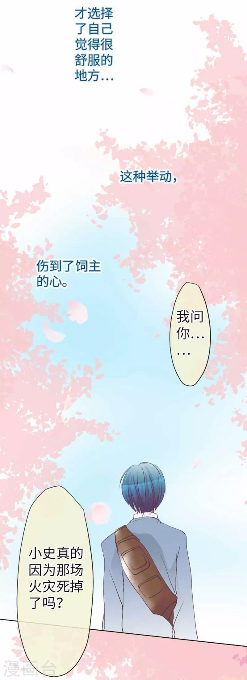 第82话 猫和饲主20