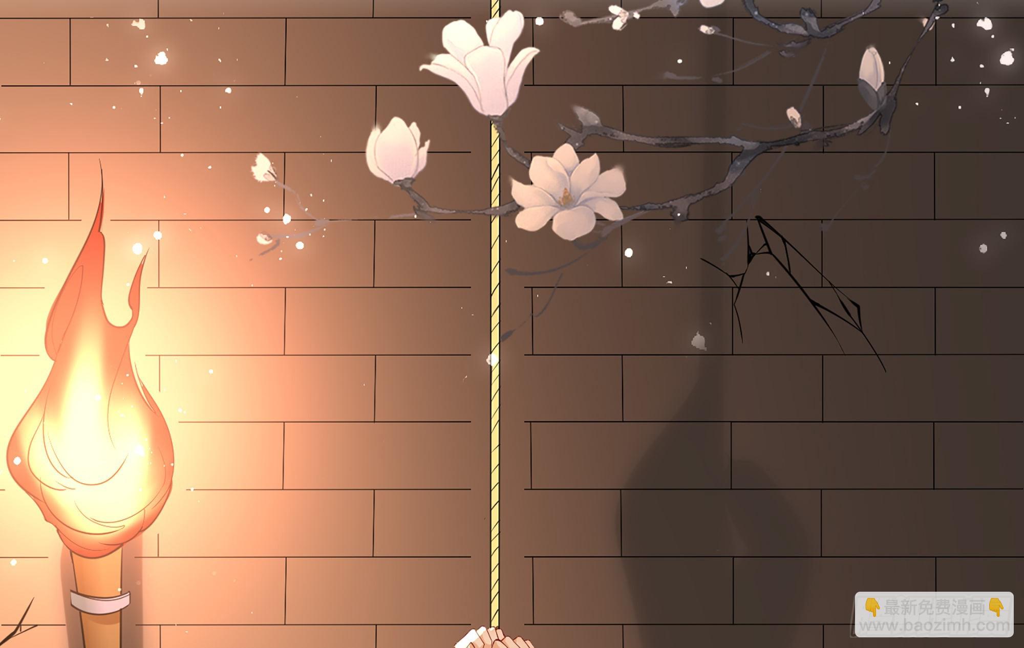 58 哥哥真好65