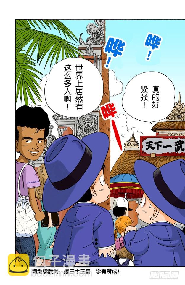 天下第一武道会！13
