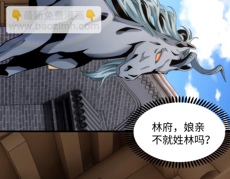 第4话 林家风波41