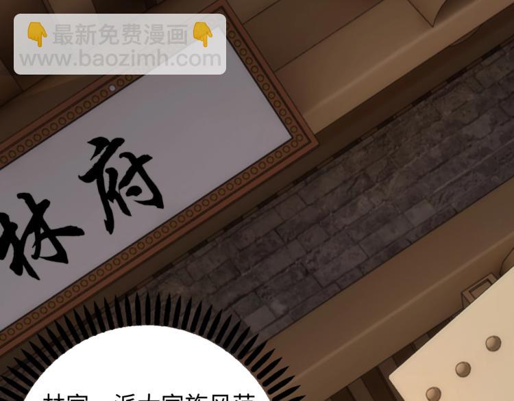 第4话 林家风波42