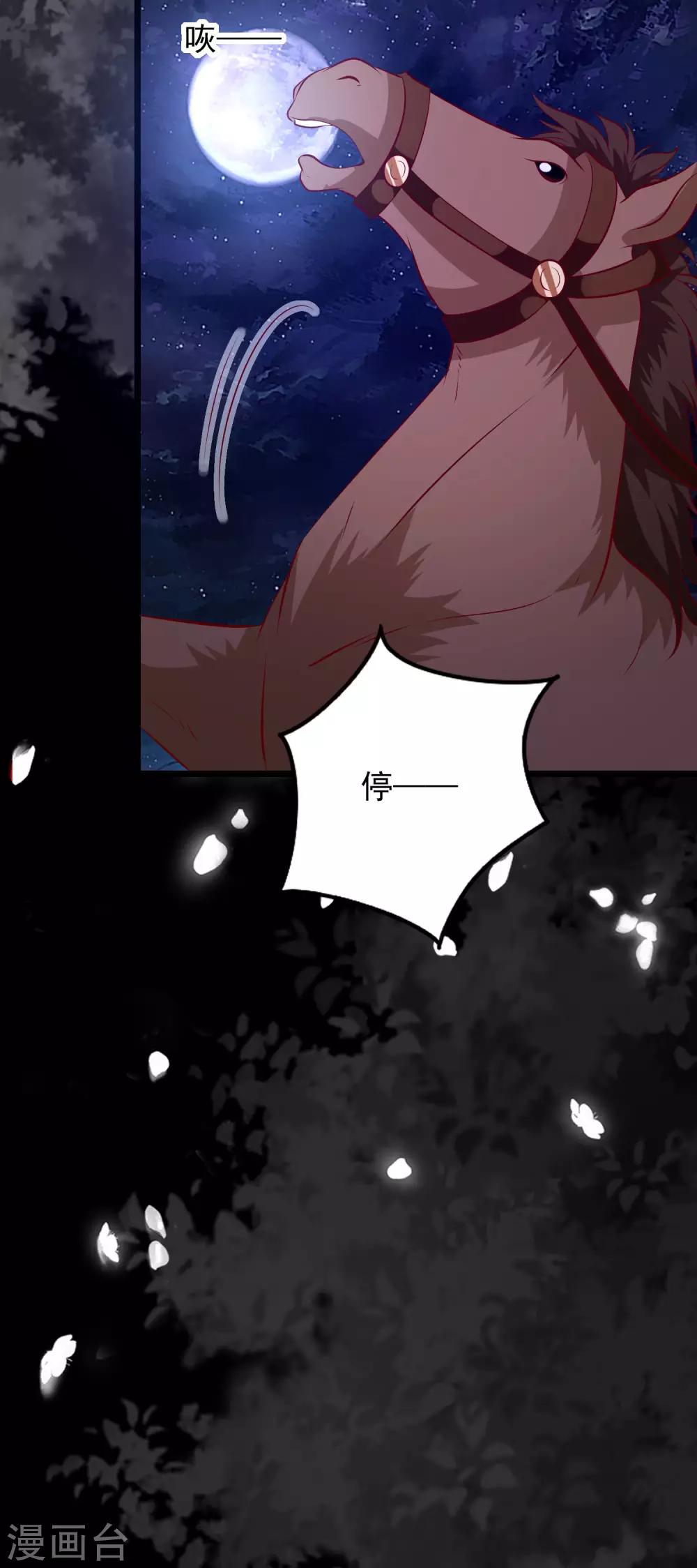 第51话 烟雾弹！7