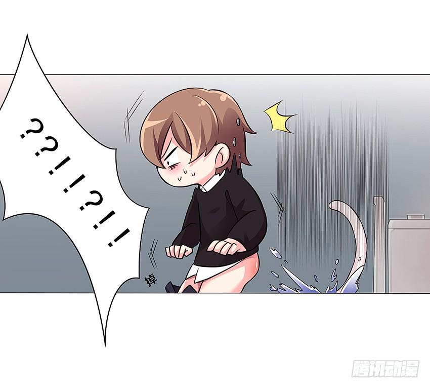 喵！？24