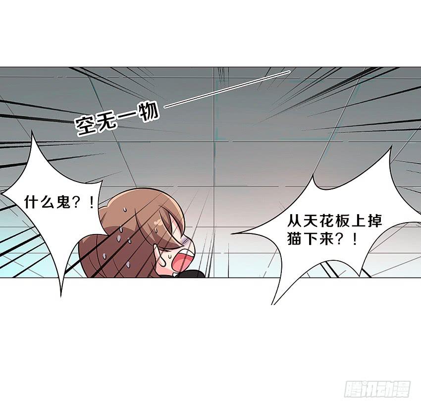 喵！？28