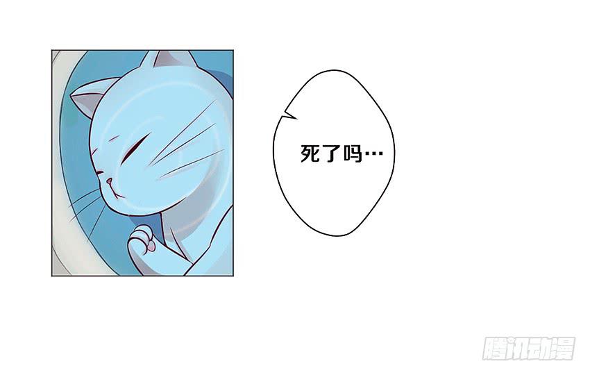 喵！？32