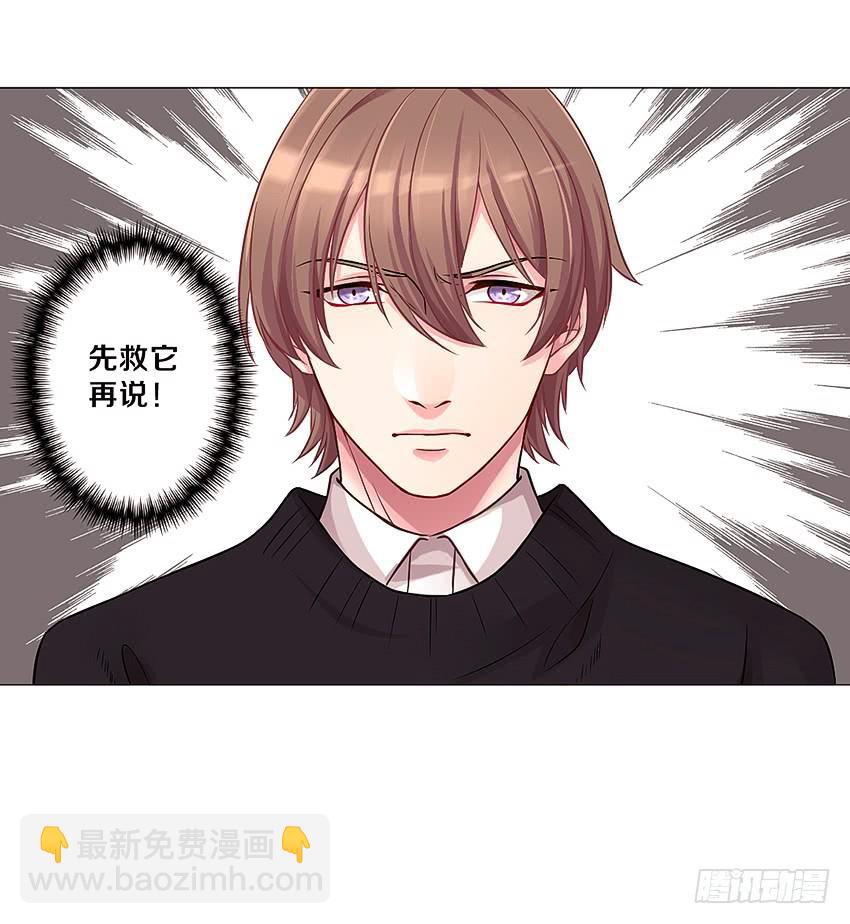 喵！？39