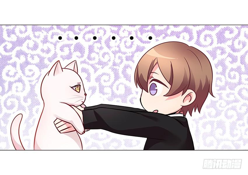喵！？41