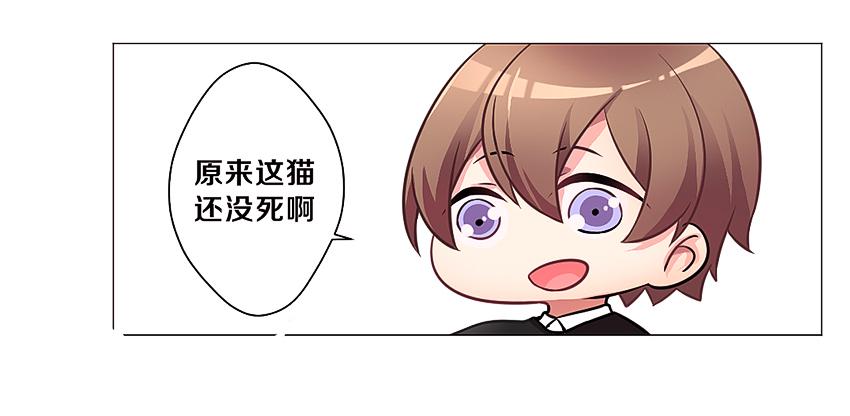 喵！？43