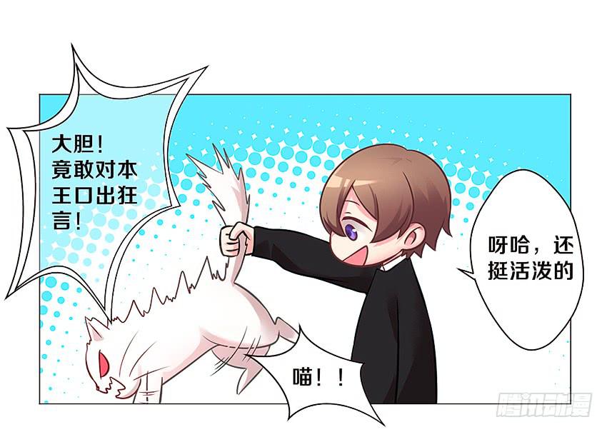 喵！？44