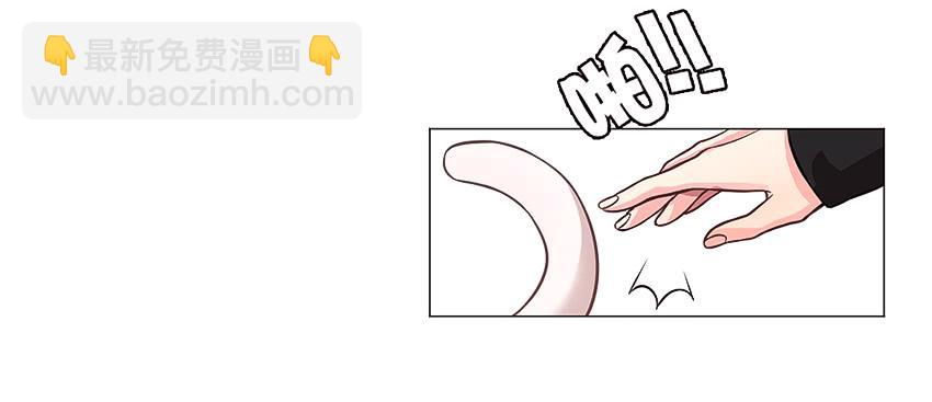 喵！？45