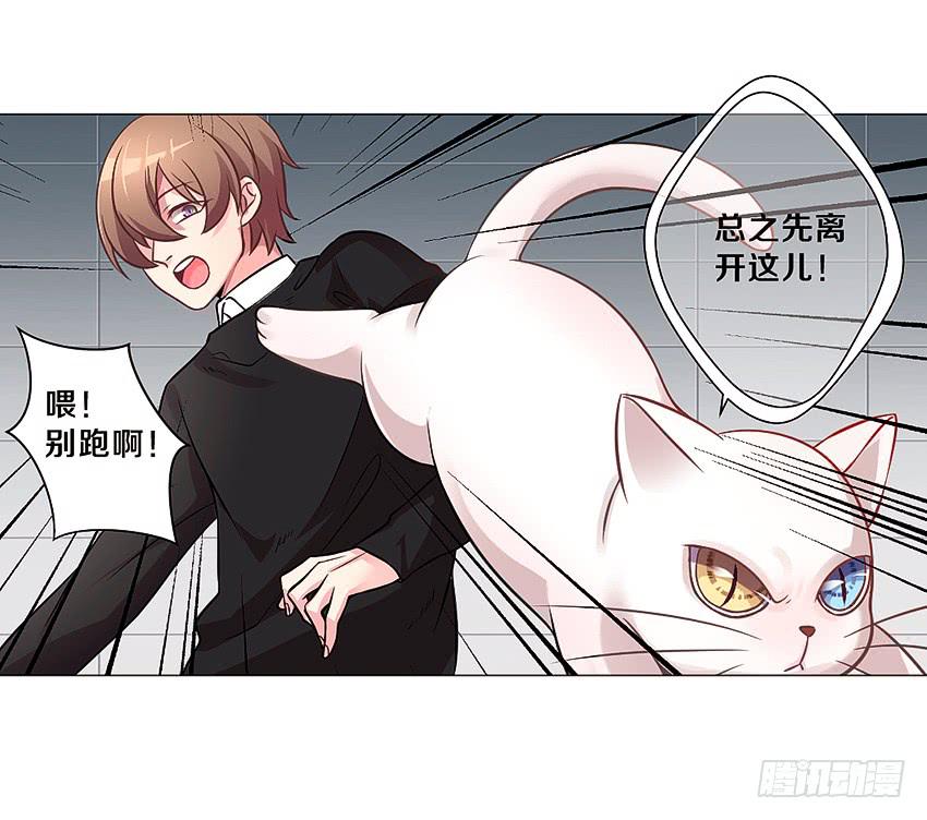 喵！？46