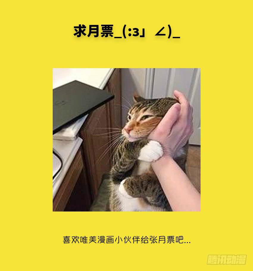 喵！？53