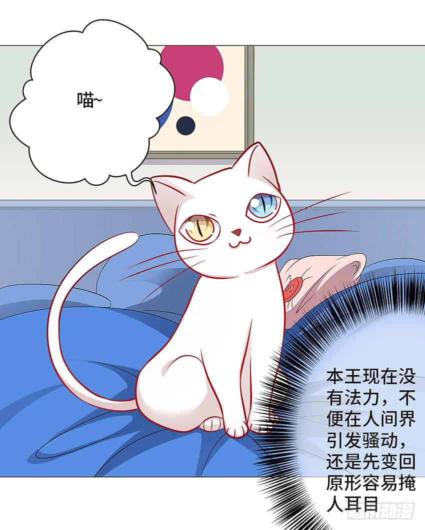 小偷22