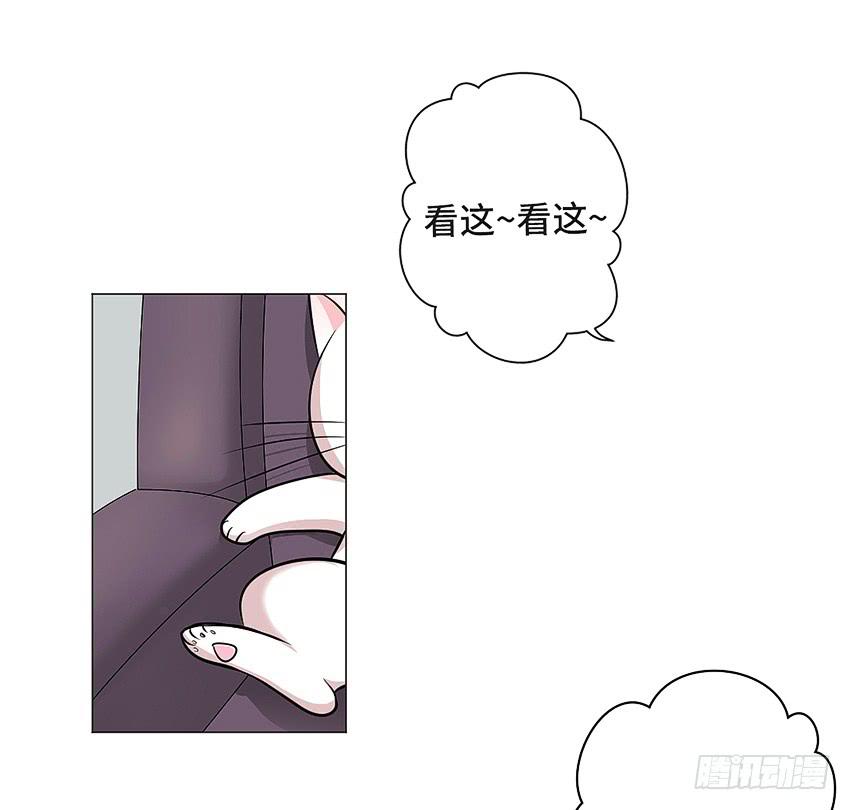 小偷24
