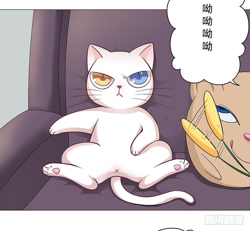 小偷25