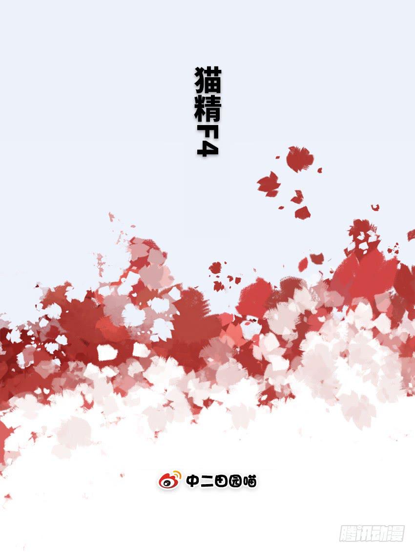 猫精F41