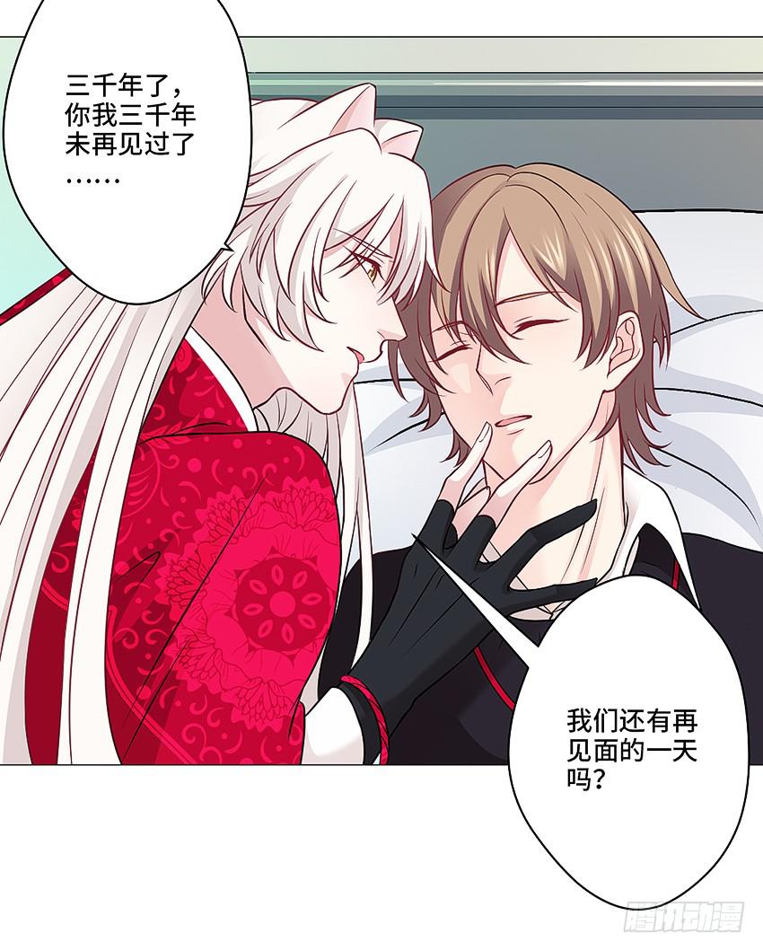 猫精F415