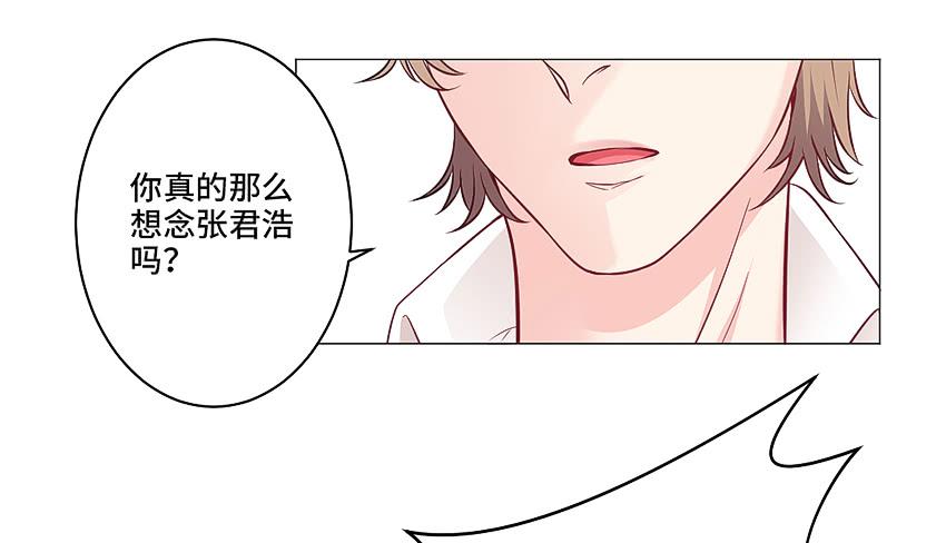 猫精F416