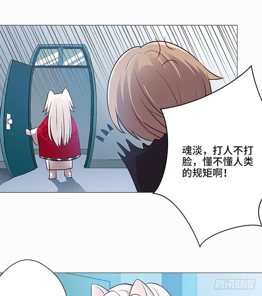 猫精F422