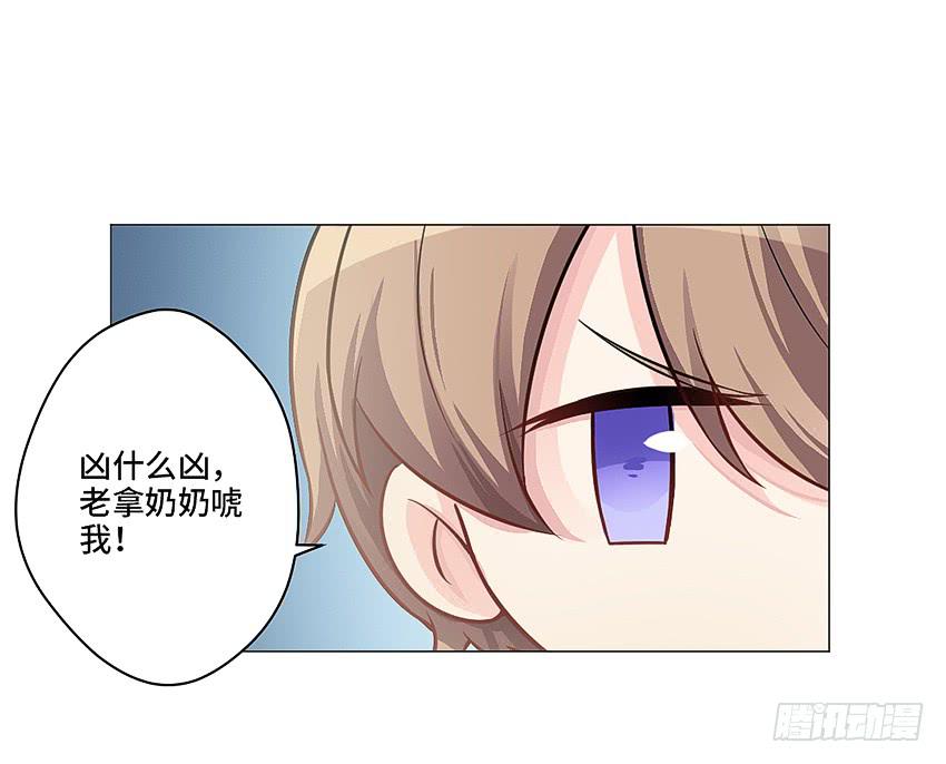 猫精F426