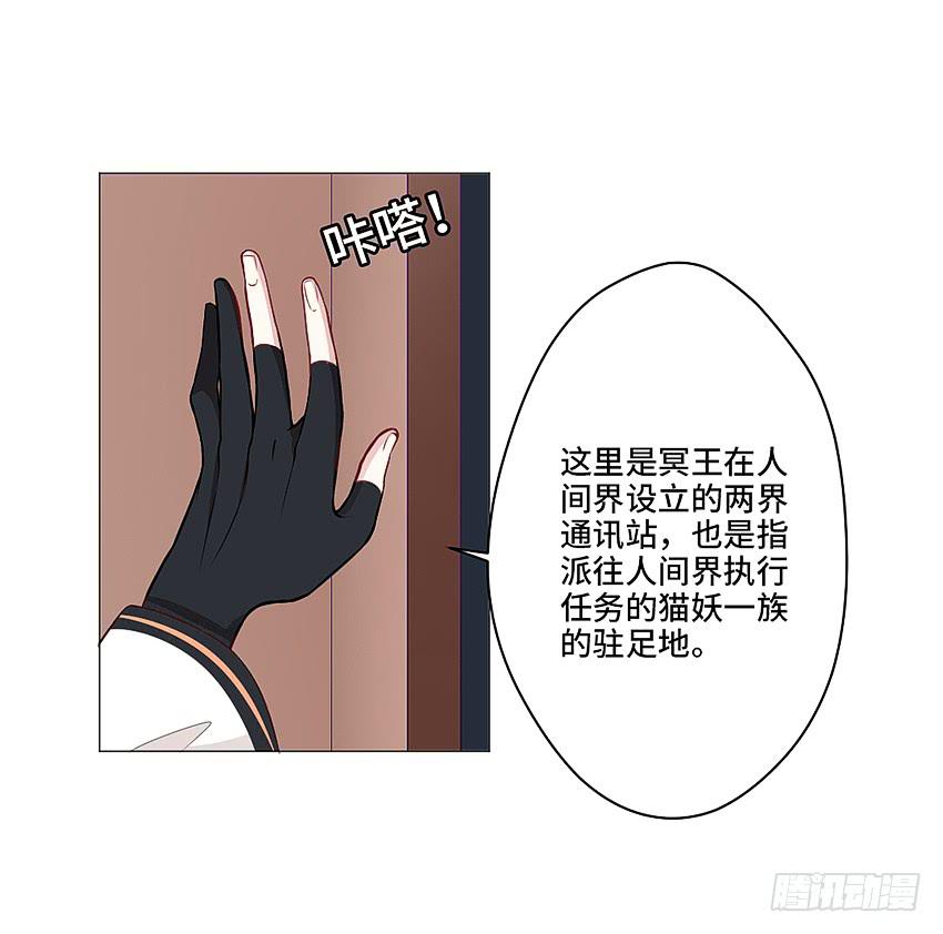 猫精F433