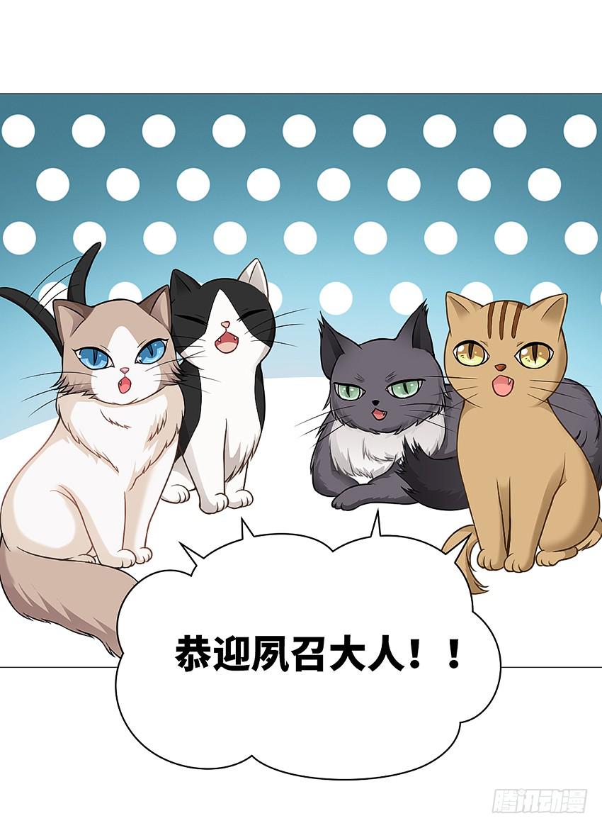 猫精F435