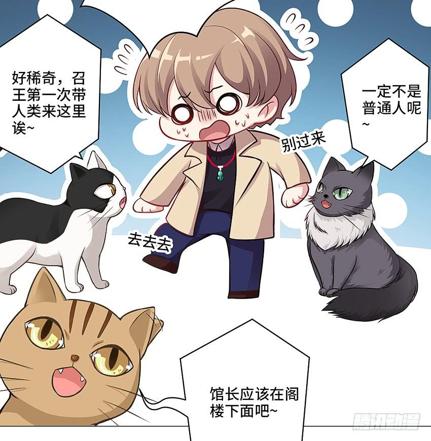 猫精F437