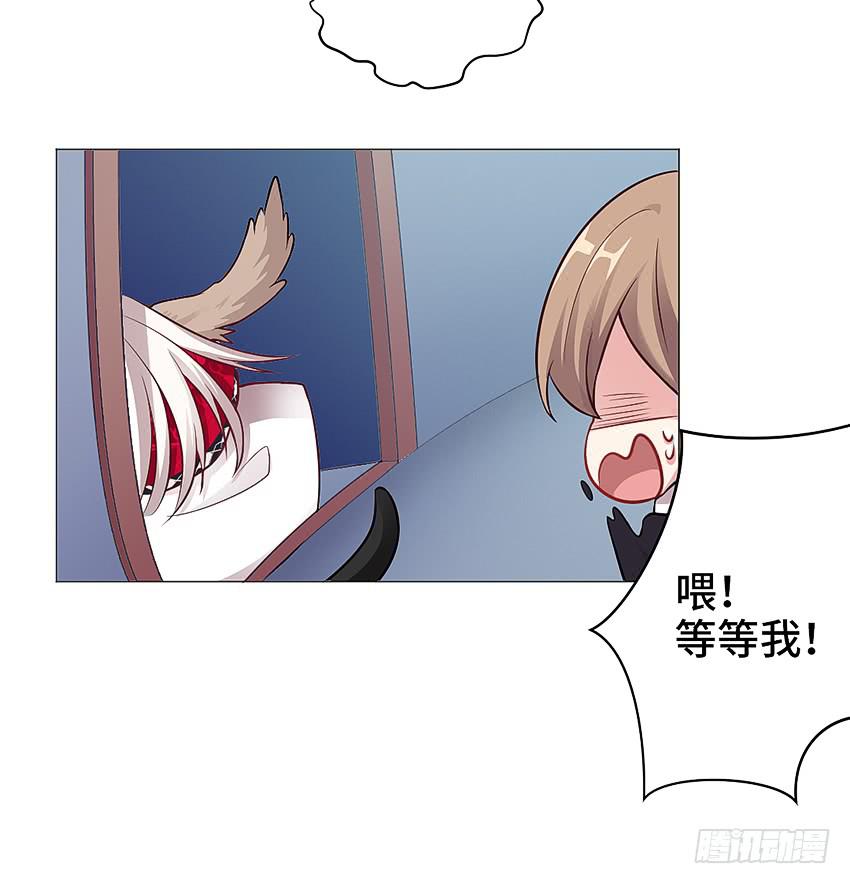 猫精F440