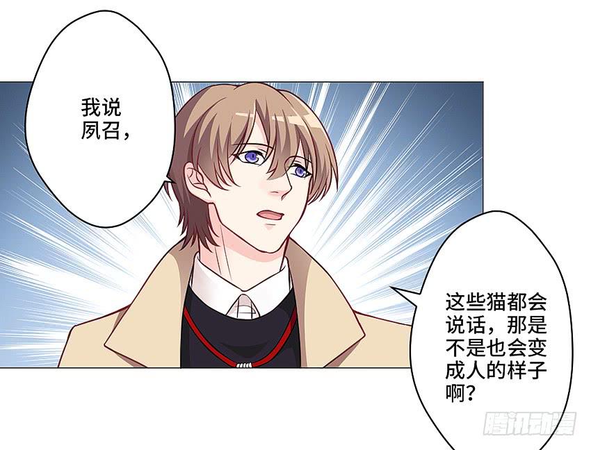 猫精F442